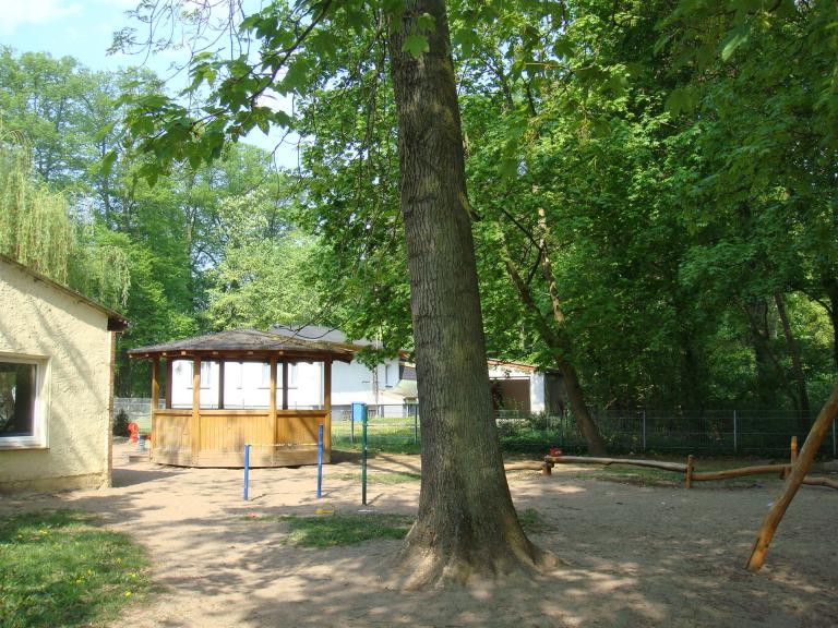 DSC00137